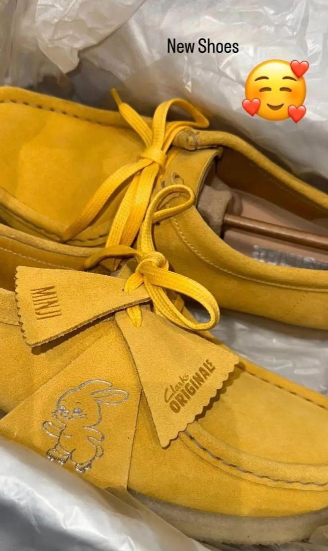 出圈！Rihanna、NewJeans联名款释出AG旗舰厅网站首页Lisa、王嘉尔加持LV潮鞋(图16)